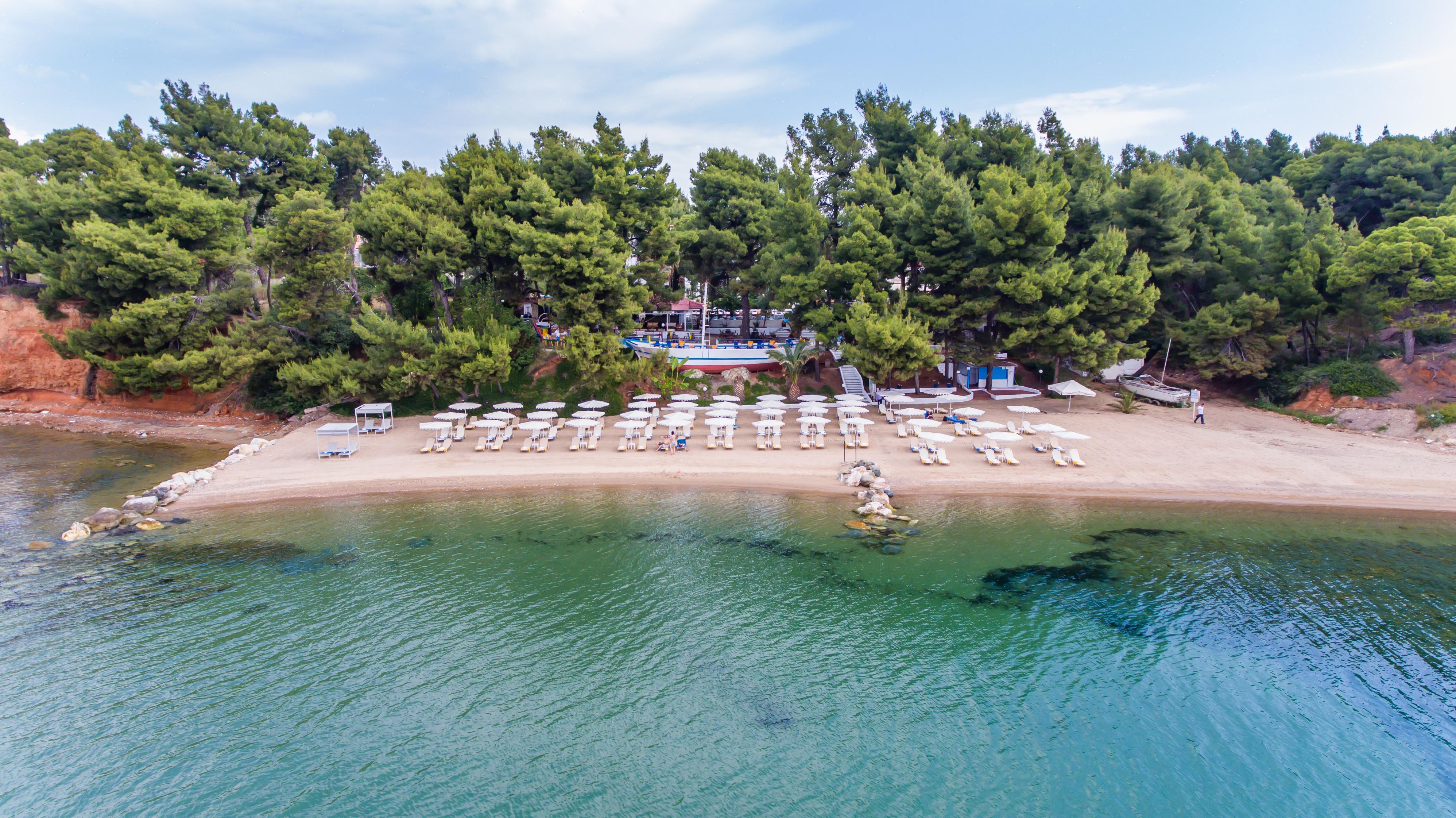 Porfi Beach Hotel Nikiti  Dış mekan fotoğraf
